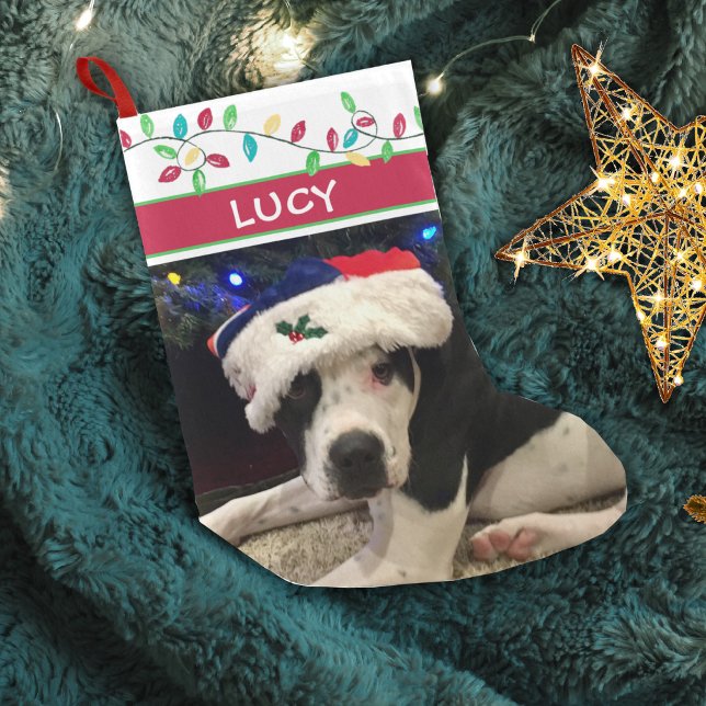 Petite Chaussette De Noël Photo de chien Aquarelle Lumières de vacances (Créateur téléchargé)