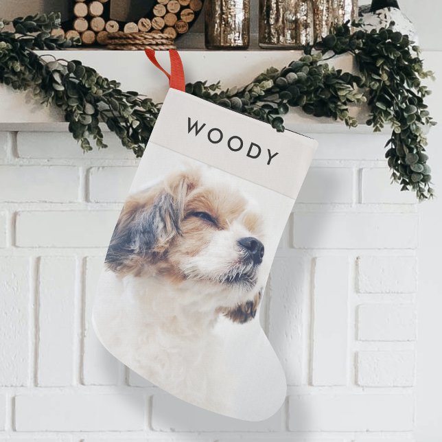 Petite Chaussette De Noël Photo de chien Noël | Nom minimal moderne de l'ani (Créateur téléchargé)