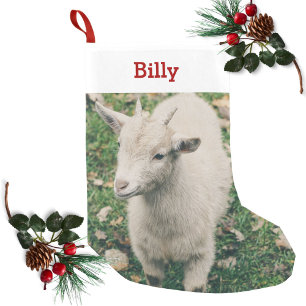 Petite Chaussette De Noël Photo et nom personnalisé de l'amoureux des chèv
