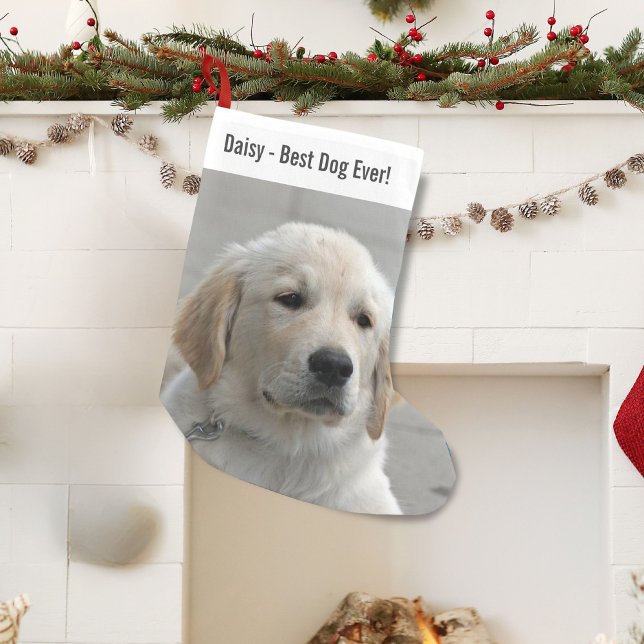 Petite Chaussette De Noël Photo et nom personnalisés Golden Retriever Dog (Créateur téléchargé)