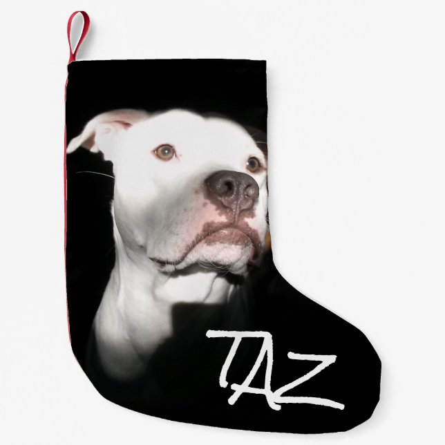 Petite Chaussette De Noël Photo faite sur commande de nom de chien (Devant)