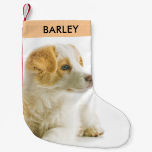 Petite Chaussette De Noël Photo personnalisé de chien de compagnie Fête fest