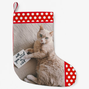 Petite Chaussette De Noël Photo pour animaux de compagnie