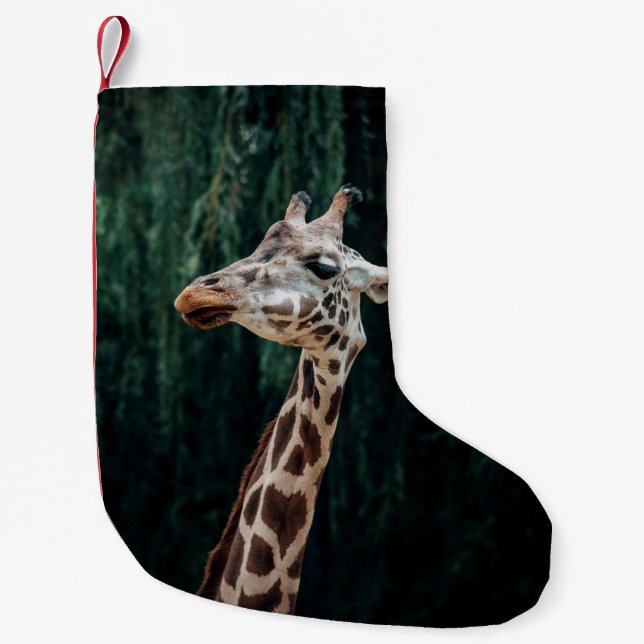 PETITE CHAUSSETTE DE NOËL PORTRAIT DE GIRAFFE CUIT (Devant)