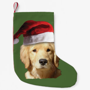Petite Chaussette De Noël Retriers d'or de Noël