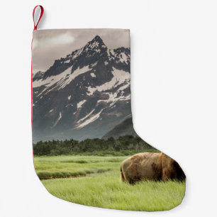 Petite Chaussette De Noël Rive de l'Alaska, grizzli