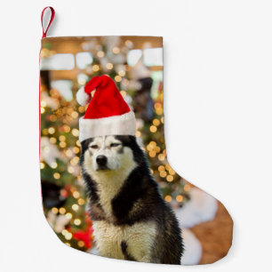 Petite Chaussette De Noël Sibérien Husky Christmas Tree Casquette
