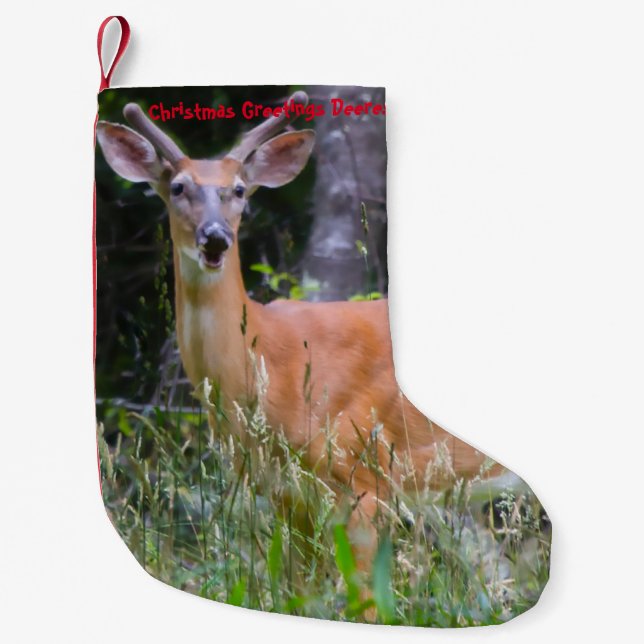 Petite Chaussette De Noël Stockage de Noël (Devant)