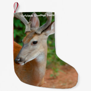 Petite Chaussette De Noël Stockage de Noël