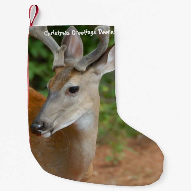 Petite Chaussette De Noël Stockage de Noël (Devant)