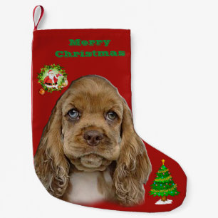 Petite Chaussette De Noël Stocks d'espagne Cocker de Noël