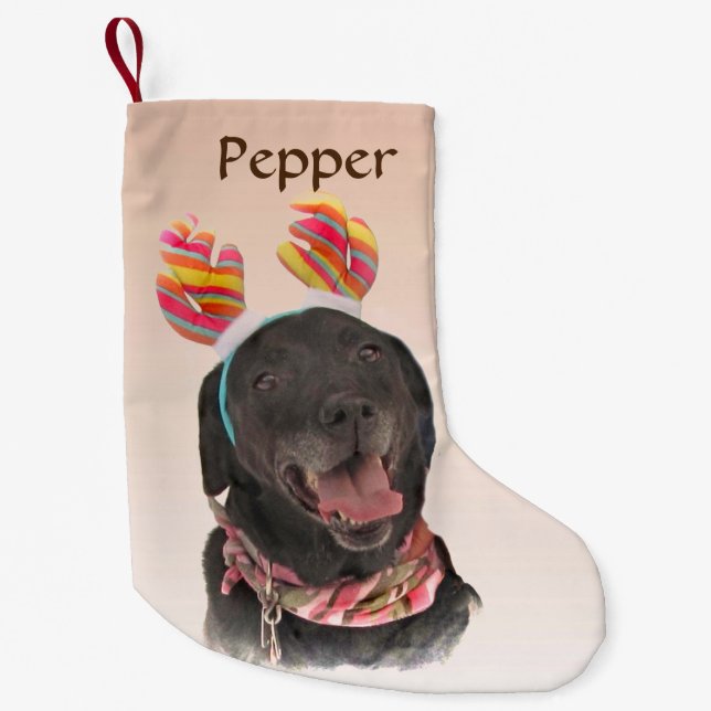 Petite Chaussette De Noël Sweet Black Labrador Retriever Chien (Devant)