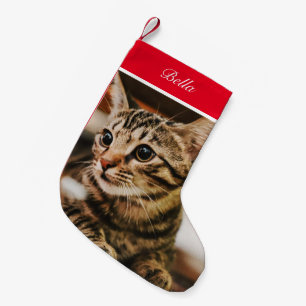 Petite Chaussette De Noël Tabby Look (Customisez-Le)
