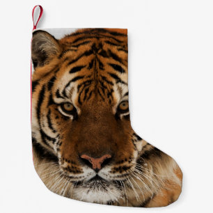 Petite Chaussette De Noël Tir de Sibérie