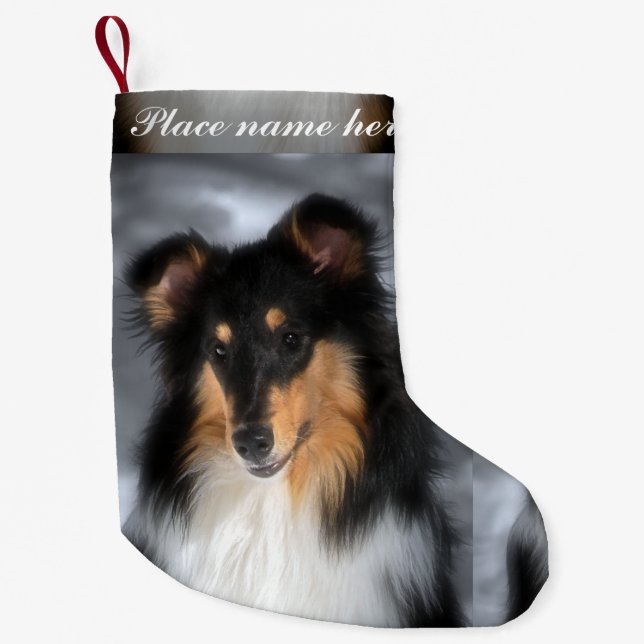 Petite Chaussette De Noël Tri Noël de colley (Devant)