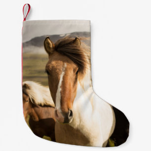 PETITE CHAUSSETTE DE NOËL TROIS CHEVAUX COULEUR COULEUR COULEUR COULEUR COUL