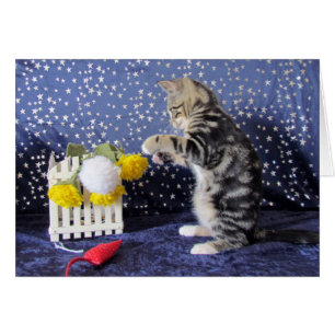 Petite fille espiègle - Lilo