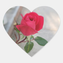 Petite fleur de rose rouge sur autocollant du coeu