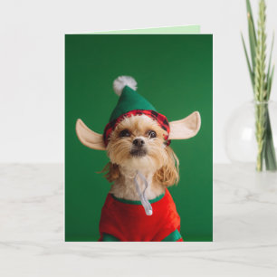 PETITE PETITE CARTE DE NOËL DE CHIEN ELF FUNNY