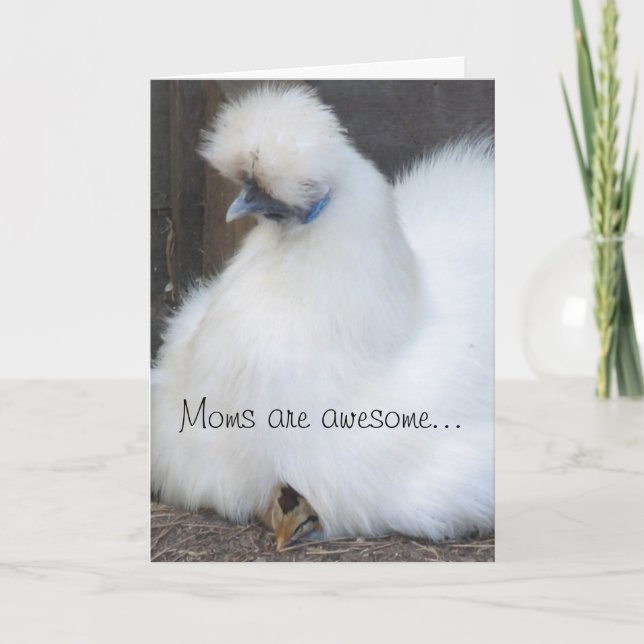 Petite poussette / poulet Carte de la fête des mèr (Devant)