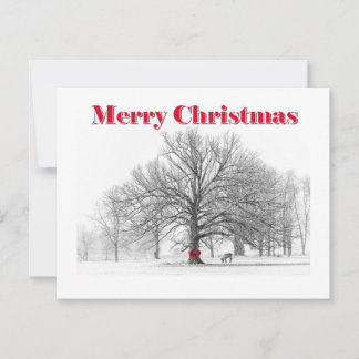 Petite scène d'hiver Carte de Noël de la Bow rouge