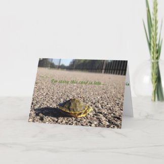 petite tortue carte d'anniversaire tardive