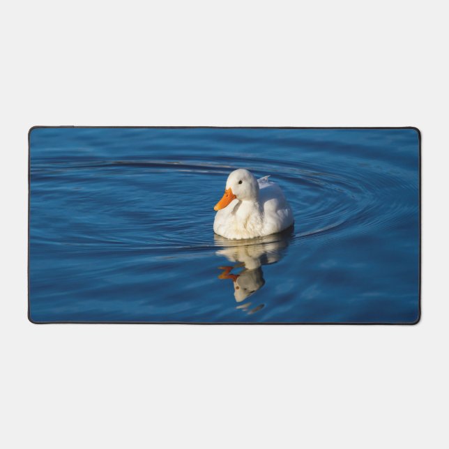 Petites réflexions de canard blanc (Recto)