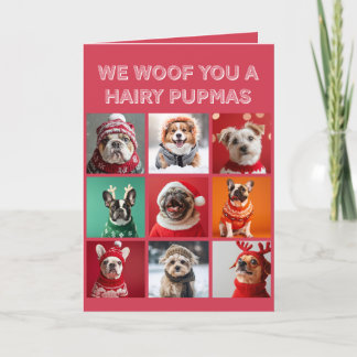 Petits chiens en Sweaters Carte de Noël