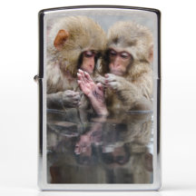 Petits singes | Hot Springs, Japon