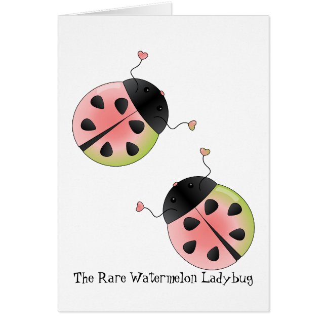 Pétoncle Ladybug (Devant)