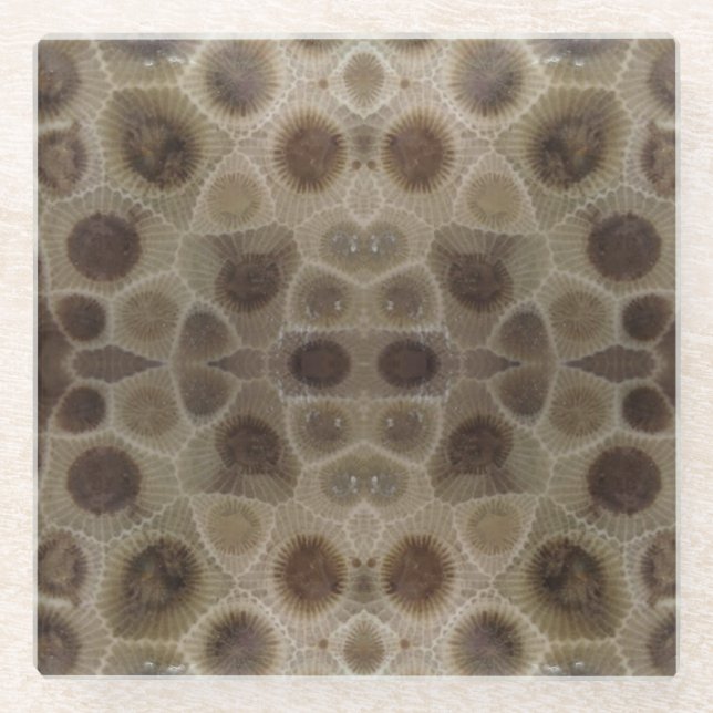 Petoskey Stone Glasuntersetzer (Vorderseite)