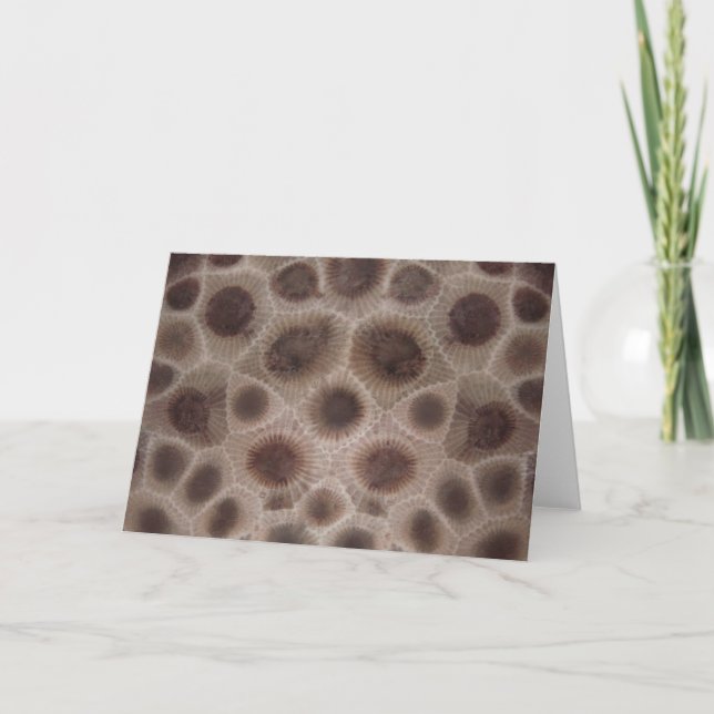 Petoskey Stone Karte (Vorderseite)