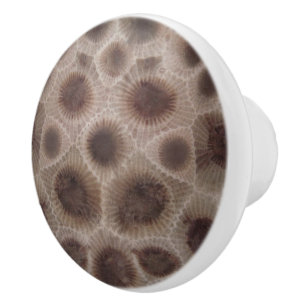 Petoskey Stone Keramikknauf
