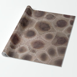Petoskey Stone michigan Staat steinfossil Geschenkpapier
