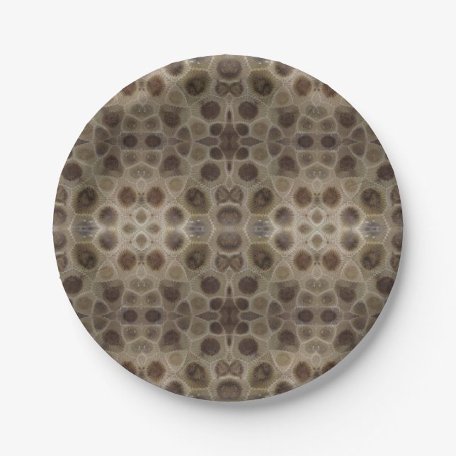 Petoskey Stone michigan Staat steinfossil Pappteller (Vorderseite)