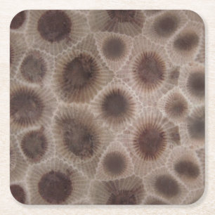 Petoskey Stone michigan Staat steinfossil Rechteckiger Pappuntersetzer