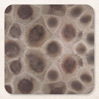 Petoskey Stone michigan Staat steinfossil Rechteckiger Pappuntersetzer
