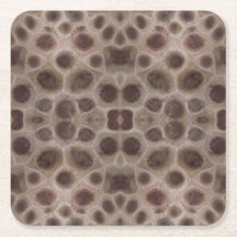 Petoskey Stone michigan Staat steinfossil