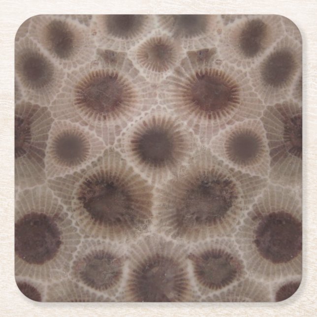 Petoskey Stone michigan Staat steinfossil Rechteckiger Pappuntersetzer (Vorderseite)