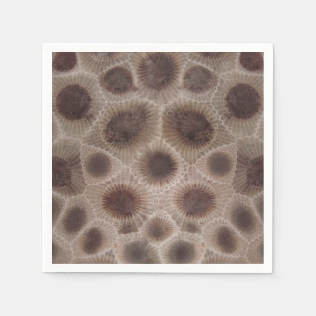 Petoskey Stone michigan Staat steinfossil Serviette (Vorderseite)