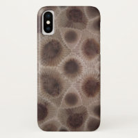 Petoskey Stone michigan Staat stone