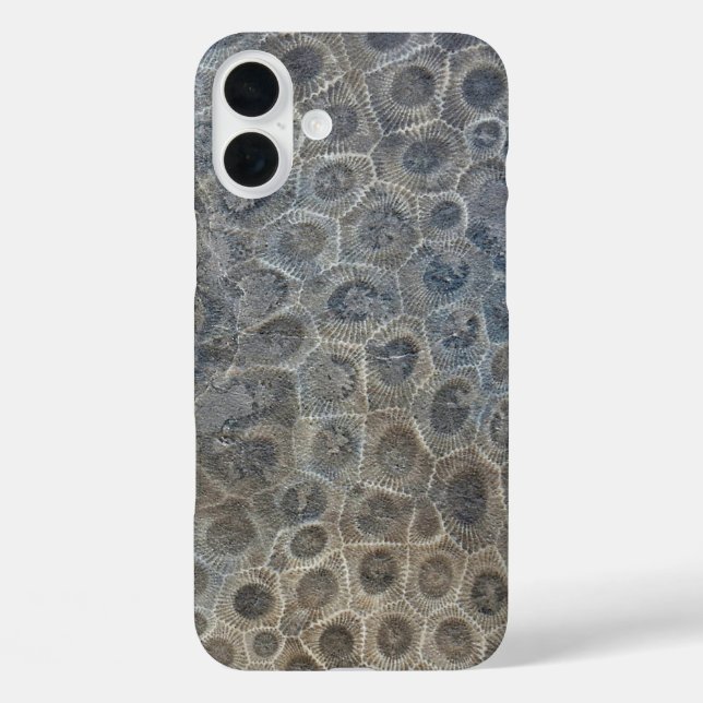 Petoskey Stone Pattern iPhone 16 Plus Hülle (Rückseite)