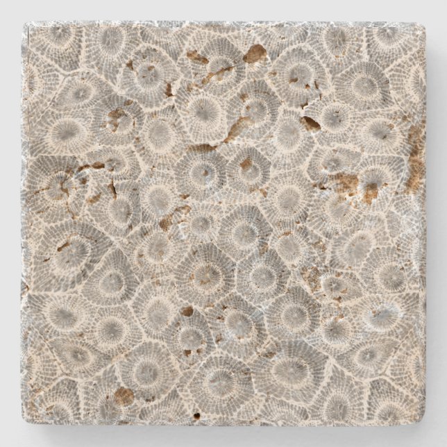 Petoskey Stone Pattern Steinuntersetzer (Vorderseite)