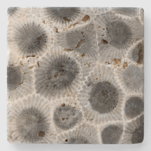 Petoskey Stone Pattern Steinuntersetzer