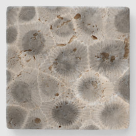 Petoskey Stone Pattern Steinuntersetzer