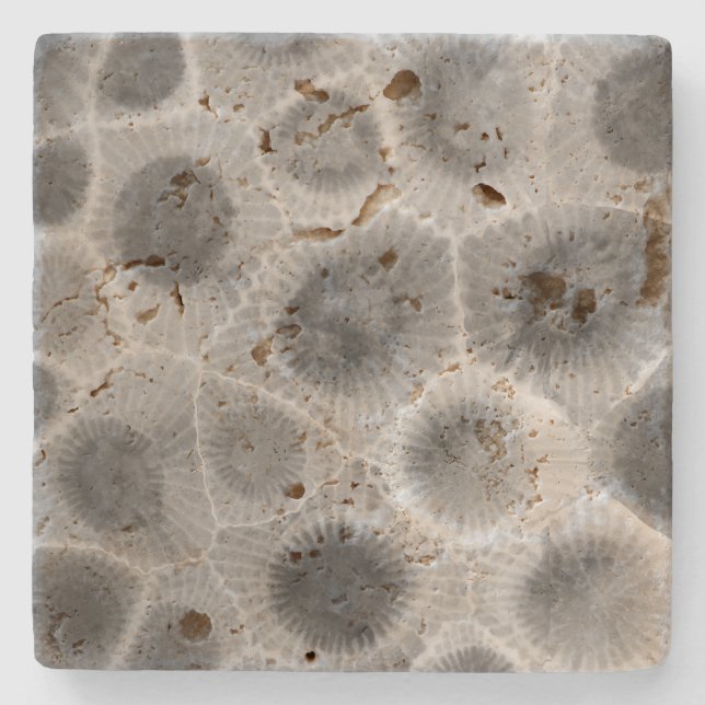 Petoskey Stone Pattern Steinuntersetzer (Vorderseite)