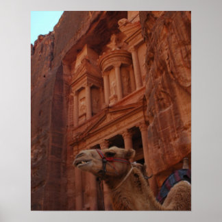 Petra Camel Print Poster