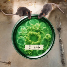 Petri Dish Paper Teller, 7" Round Paper Plate