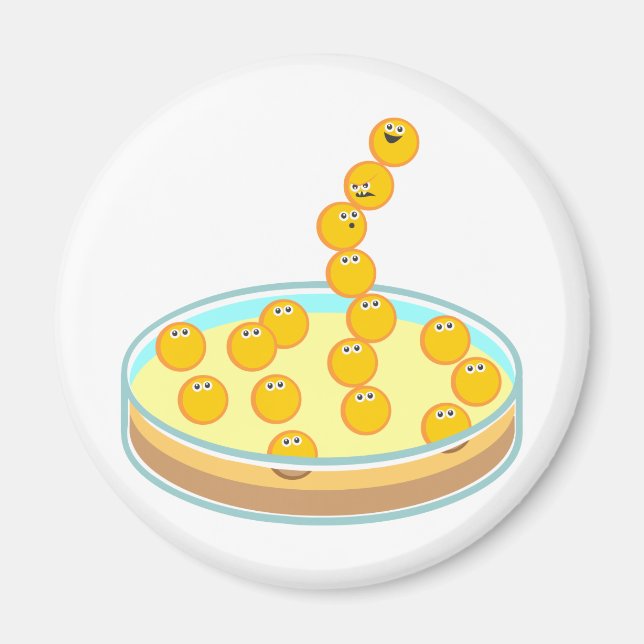 Petri Dish Tower Magnet (Vorne)
