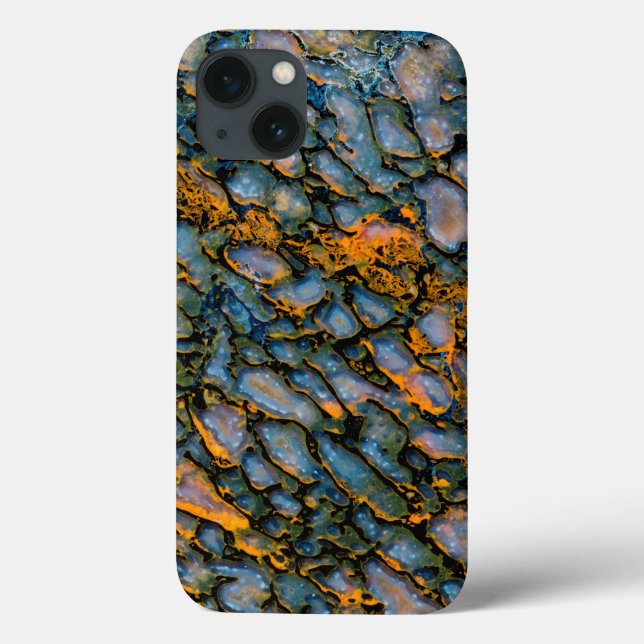 Petrified Dinosaur Bone Case-Mate iPhone Hülle (Rückseite)